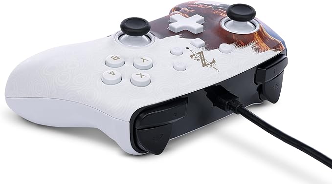 Controller for Nintendo Switch and Oled Model - Hero's Ascent