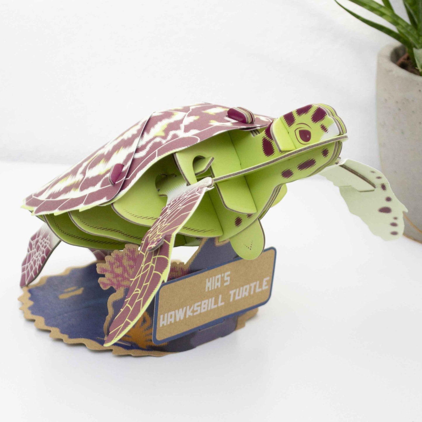 Hawksbill Turtle - Build Your Own