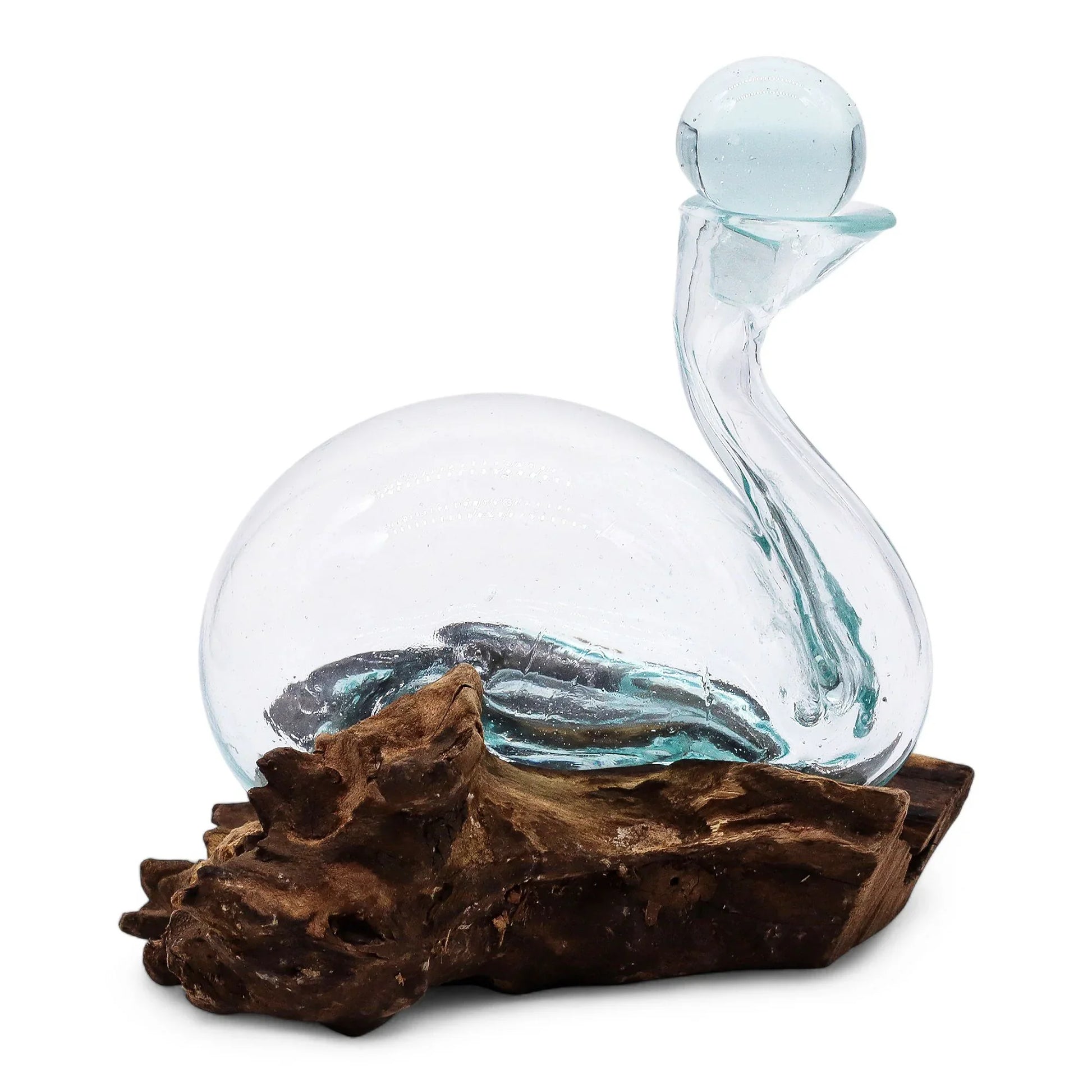 Handblown glass vase with artistic curves set on natural driftwood, modern home decor