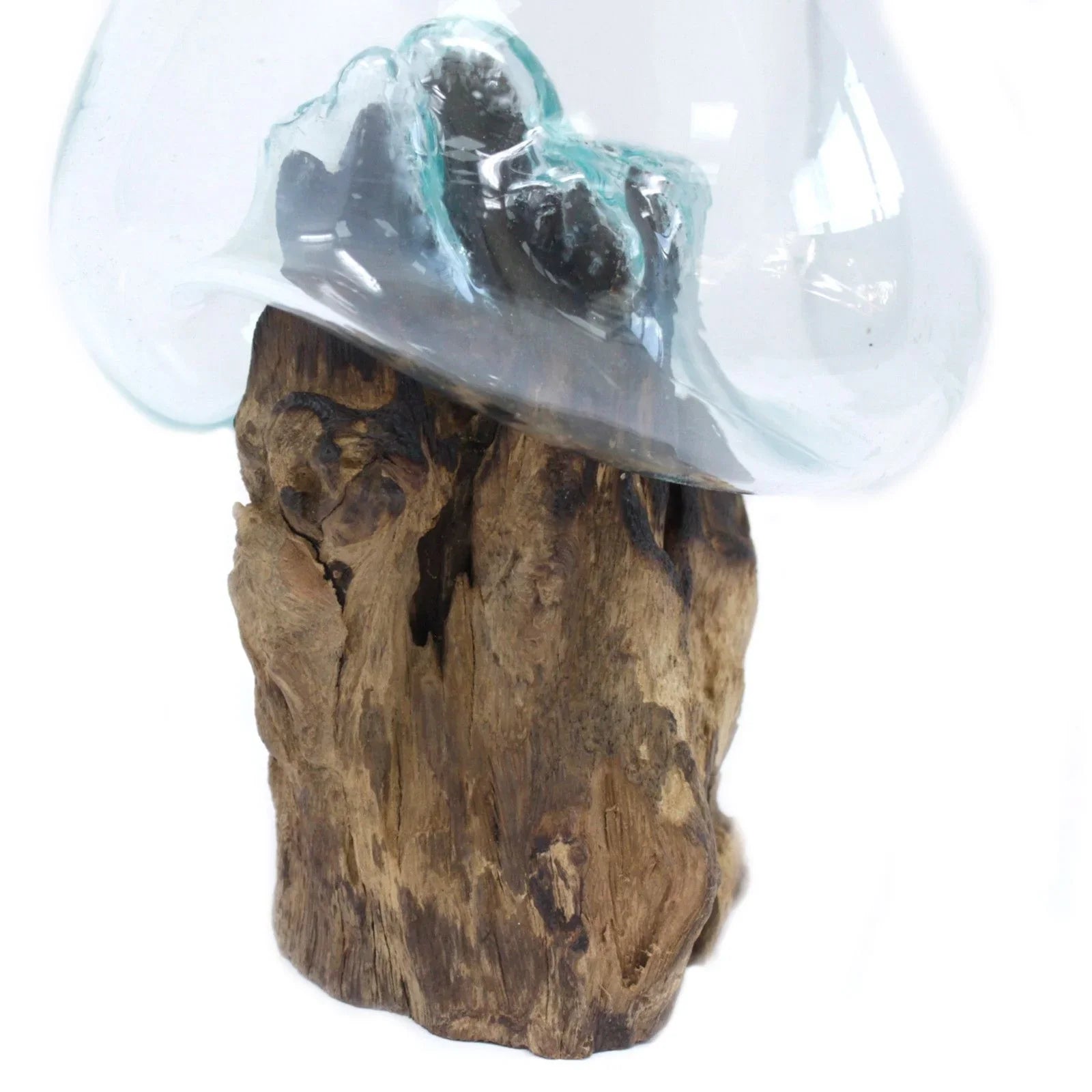 Handcrafted blown glass bowl fused to natural driftwood, rustic home decor accent.