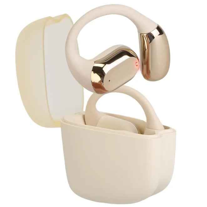 Earhook LED Charging Case Sports Earbuds